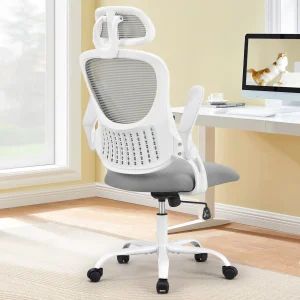 Mesh Ergonomic Office Chair With Lumbar Support