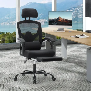 Ergonomic Reclining Chair with Lumbar Support